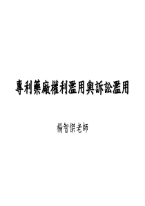 专利药厂权利滥用与诉讼滥用