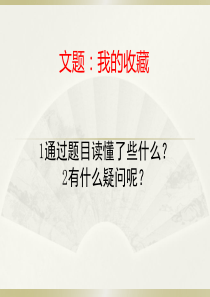 六上作文-我的收藏概要