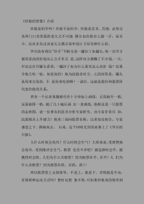 《炒股的智慧》TXT完整版