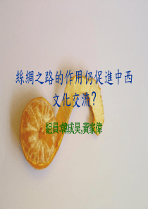丝绸之路的作用仍促进中西文化交流
