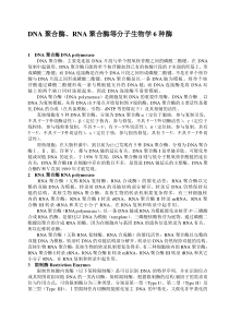 DNA聚合酶、RNA聚合酶等分子生物学6种酶