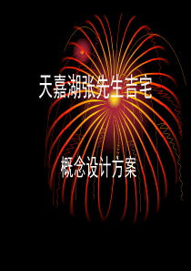 天嘉湖张先生 概念设计方案