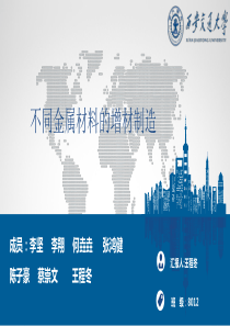 17组-不同金属材料的增材制造