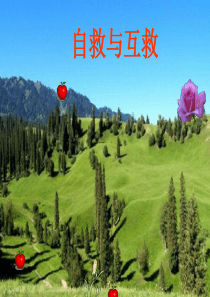 矿山自救互救1
