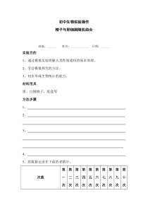 精子与卵细胞随机结合实验报告册