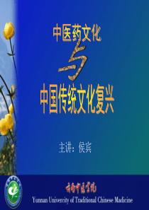 WTV系列语音芯片