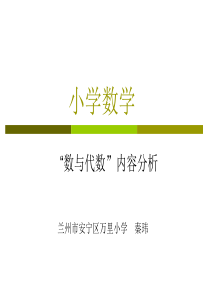 小学数学“数与代数”内容分析