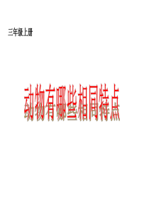科学三上 动物有哪些相同特点