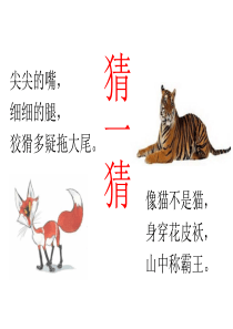 狐假虎威-公开课