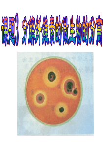 分解纤维素的微生物的分离2013.1.26