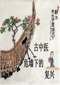 中医药文化ppt