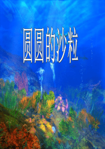 三年级语文-圆圆的沙粒_ppt