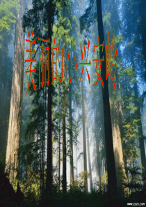 三年级语文上册23课美丽的小兴安岭课件