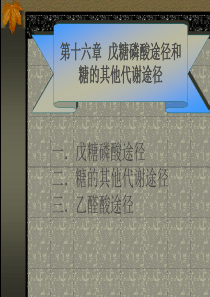 第十六章：戊糖磷酸途径和糖的其他代谢途径
