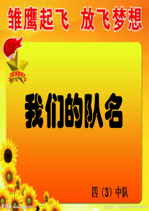 我们的队名PPT