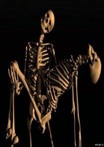 【创意摄影】高清_3_D_创意设计图片(二)