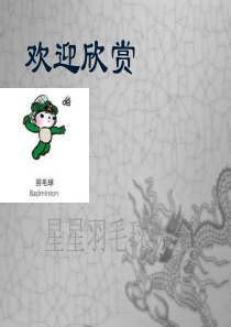星星羽协