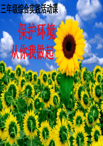三年级综合实践活动课