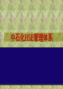 中石化HSE管理体系