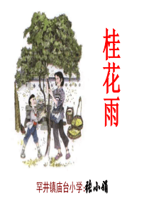 五年级语文桂花雨