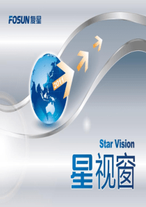 星视窗110期