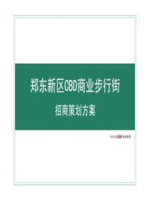郑州郑东新区CBD商业步行街招商策划方案