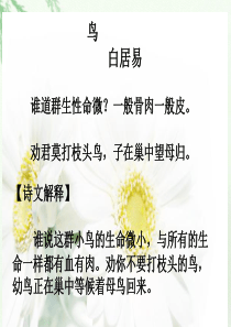 苏教版四年级语文上册《21、珍珠鸟》