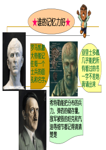记忆方法及遗忘曲线