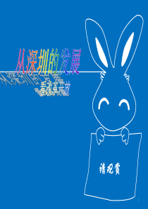 2018精选版深圳改革历史变迁介绍PPT