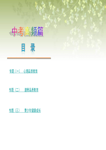 2013届山东省中考思品复习方案 专题―中考高频篇课件 人民版