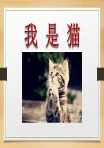 《我是猫》ppt课件