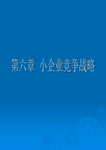 第六章小企业竞争战略