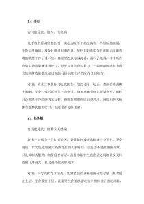 警惕厨房里的7大健康杀手
