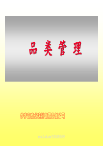 XXX商业连锁有限责任公司品类管理(95)