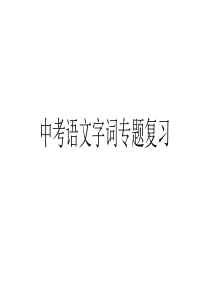 2016河南中考语文字词专题