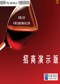 XX红酒招商资料