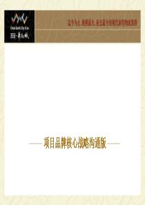 2010年西安华南城项目品牌核心战略沟通版12...