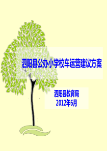 泗阳县公办小学校车运营建议方案