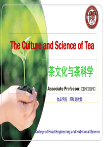 大学《茶与茶文化》PPT课件