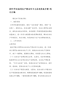 2019年安监局生产整治百日大会战实施方案-范文汇编