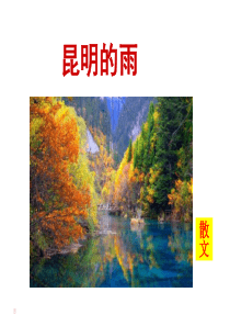 昆明的雨(常态课)