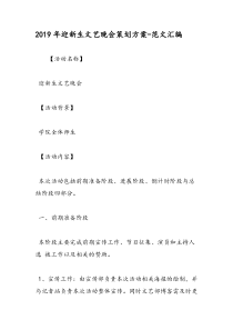 2019年迎新生文艺晚会策划方案-范文汇编