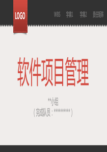 软件项目管理WBS、字典、责任矩阵实例PPT