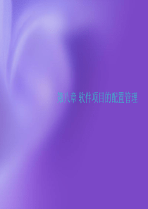 软件项目配置管理