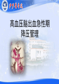 56脑出血