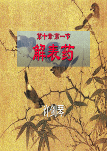 中药与方剂 02解表药方