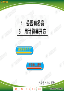 公园有多宽