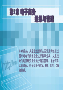 12第5章电子商务组织与管理