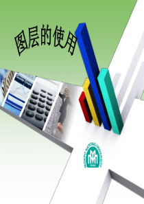 flash中的图层