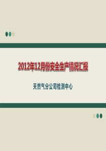2012年12月份安全生产情况汇报